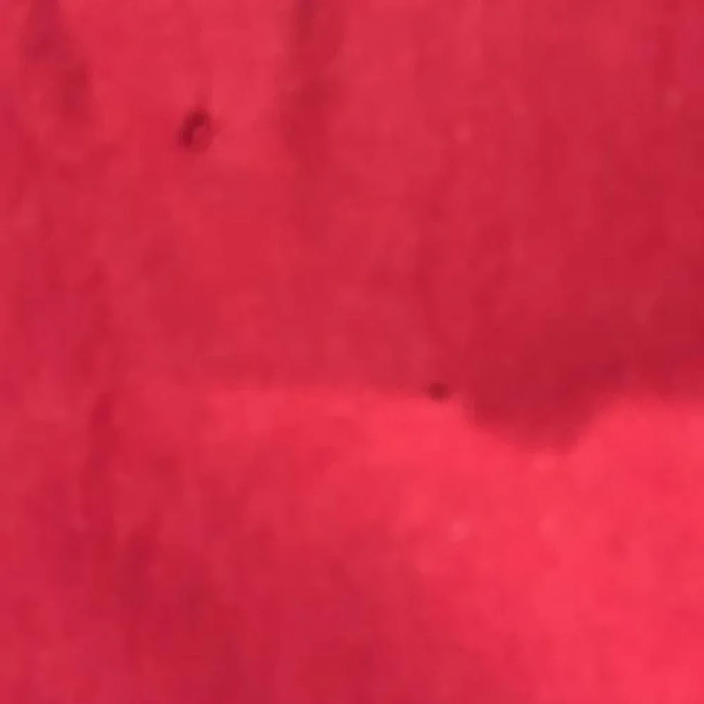 True Religion red t-shirt -XL
